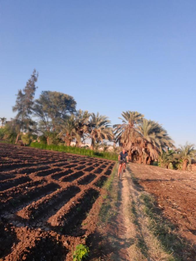 Village Room In The Countryside Al Minya Exterior foto
